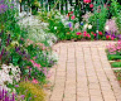 Quick boy privado oficial