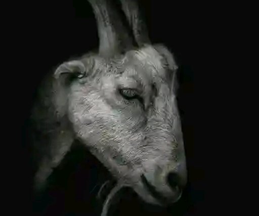 Smxshd33jayWrldWide26