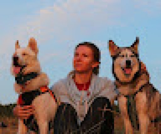 Ксенія Войтенко