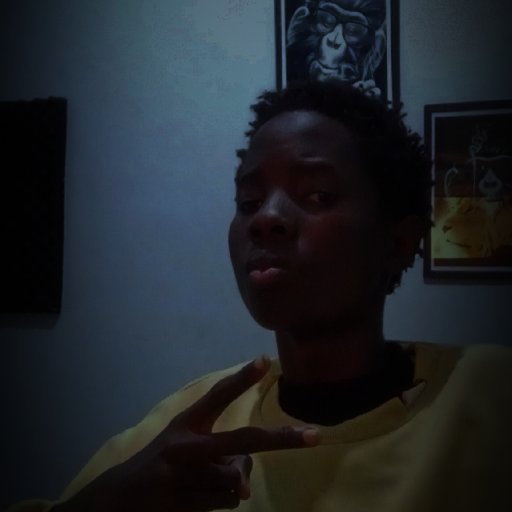 Gololitetim DiRedBowyFire 