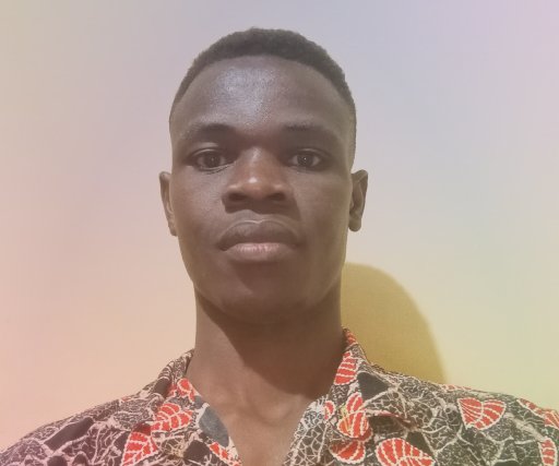 Ugandan chocolate bull