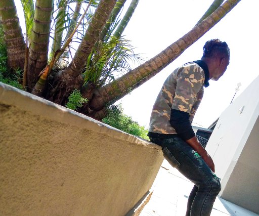 The Legendary Mr Rolex