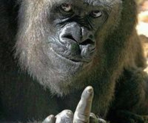 kweku.fremeh