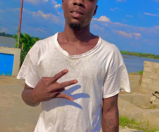 Bloggerr KingFlex