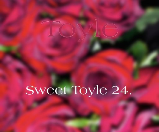 Toyle