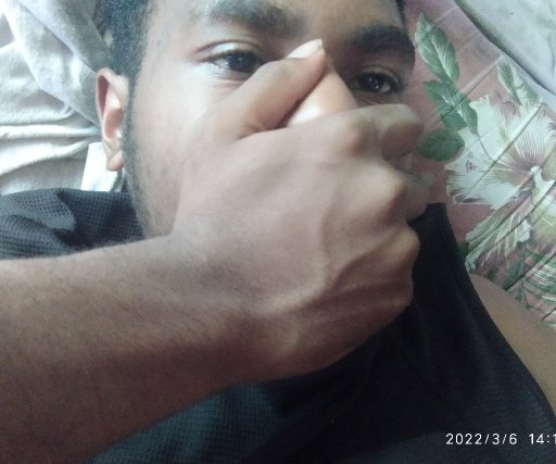 Jayblad
