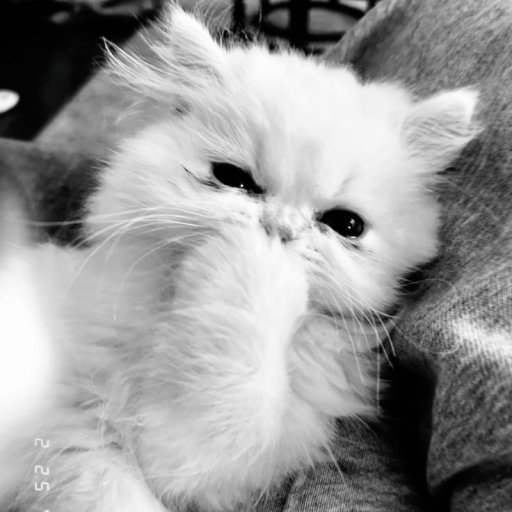 Kiếp Người Remix