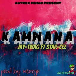 uploaded_audio image