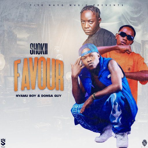 FAVOUR -FEAT DONSA GUY & SHOKII 
