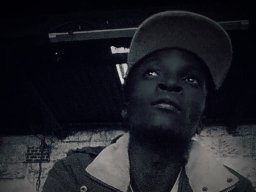 No reverse (freestyle 1)