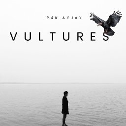 Vultures 
