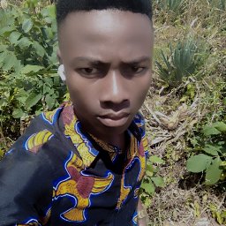 uploaded_audio image