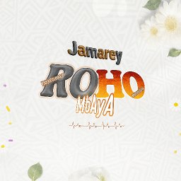 Jamarey og_-_Roho mbaya (official Audio)