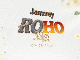 Jamarey og_-_Roho mbaya (official Audio)