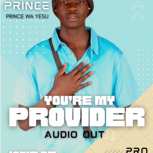 PROVIDER 
