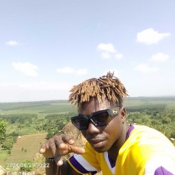 uploaded_audio image