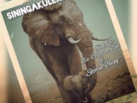 Siningakuleke [Prod. By Dj BlessaZM]