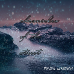 chronicles of the street