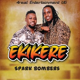 uploaded_audio image