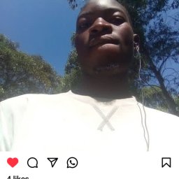 uploaded_audio image