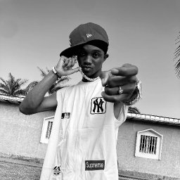 uploaded_audio image