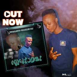 uploaded_audio image