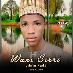 uploaded_audio image