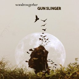 Gun Slinger 