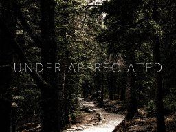 "Under Appreciated" feat. "Summer"