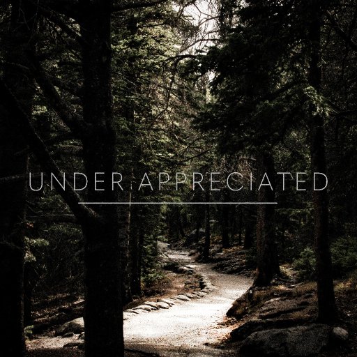 "Under Appreciated" feat. "Summer"