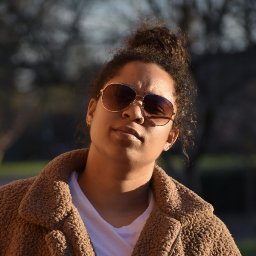 uploaded_audio image