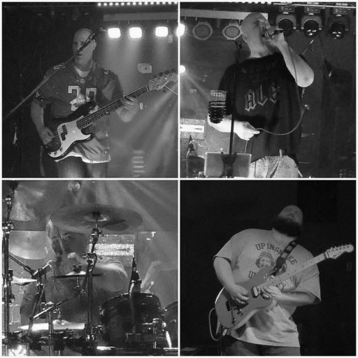 Pice Live at Tie Dye Festival