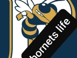 Hornets life