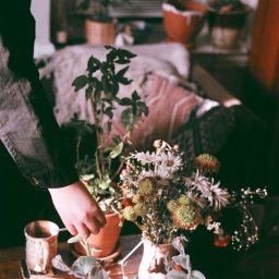 uploaded_audio image