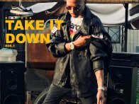 Take It Down