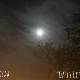 uploaded_audio image