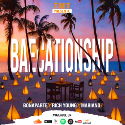 uploaded_audio image