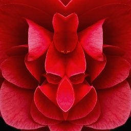 Emotion -Righteous Reject 