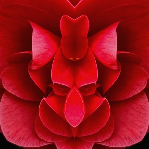 Emotion -Righteous Reject 