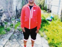 Evening for the monies