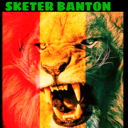 uploaded_audio image