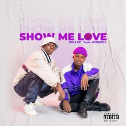 uploaded_audio image