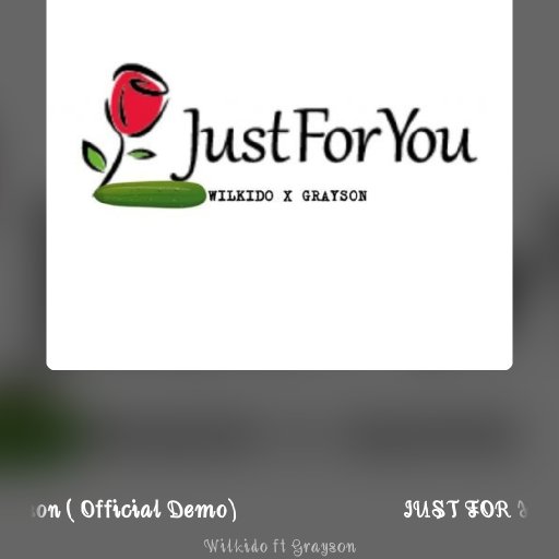 JUST FOR YOU-WILKIDO