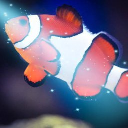 Princess for one night