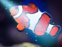 Princess for one night