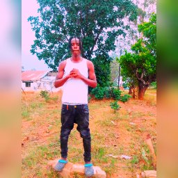 uploaded_audio image