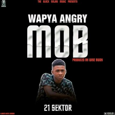 21 Sektor - Wapya angry mob prod. By wise bwoy