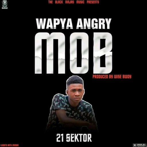 21 Sektor - Wapya angry mob prod. By wise bwoy