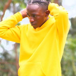 uploaded_audio image