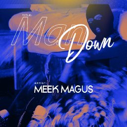 uploaded_audio image